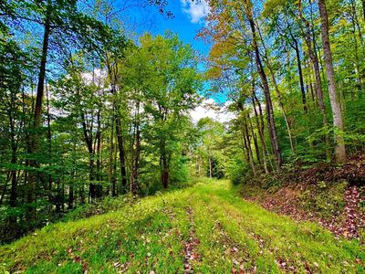 Webster Rd, Webster Springs, WV, 26288