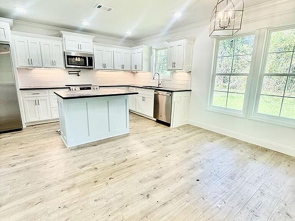3rd image of 111 Morgan Pl