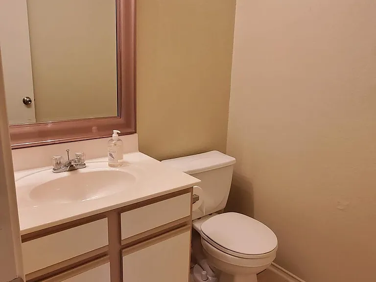 Downstairs powder room