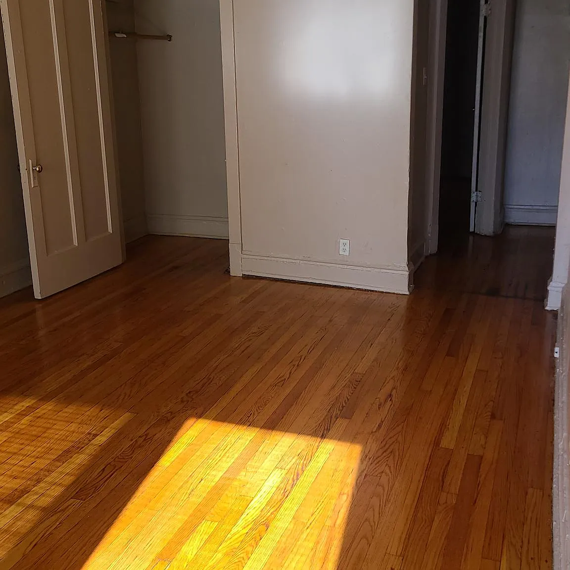 1 bed, 1100 sqft, $1,100 — Photo 4