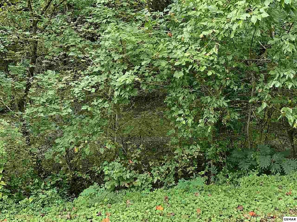 1st image of 0 Hollow Branch Way