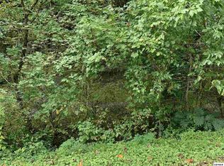 0 Hollow Branch Way, Sevierville, TN 37862