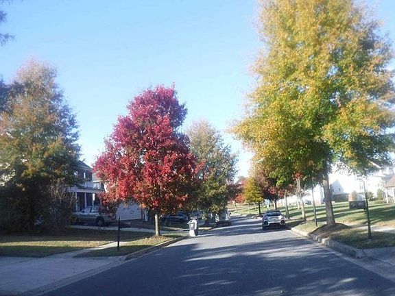 Exterior Neighborhood (street photo)