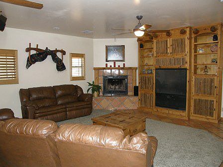 Custom Entertainment Center