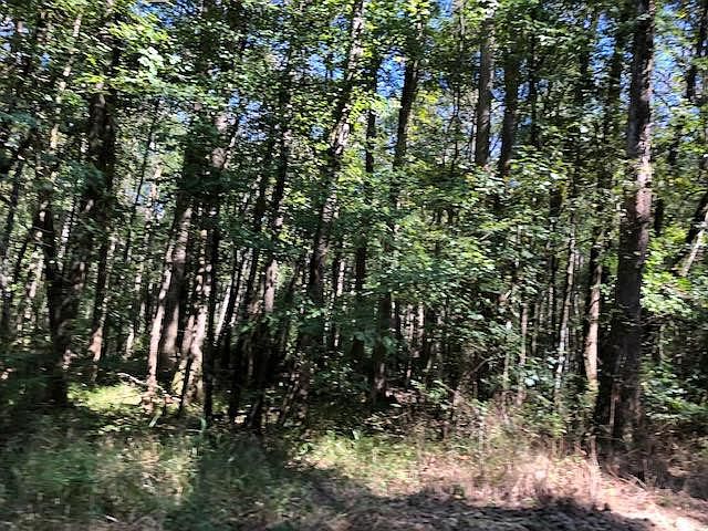 1st image of 66 Ac Dominick Rd