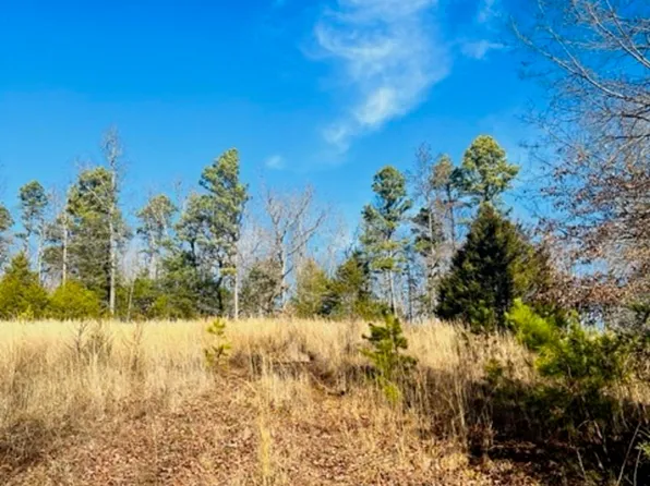 Ash Trl, Melbourne, AR 72556