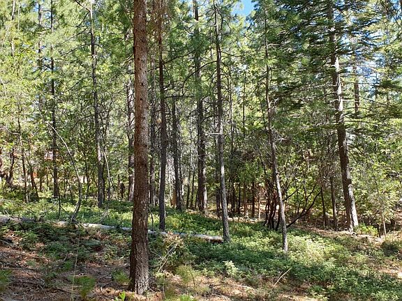 4th image of 2534 Aspen Way #268
