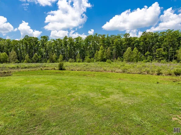 18974 S Saint Croix Ct, Maurepas, LA 70449