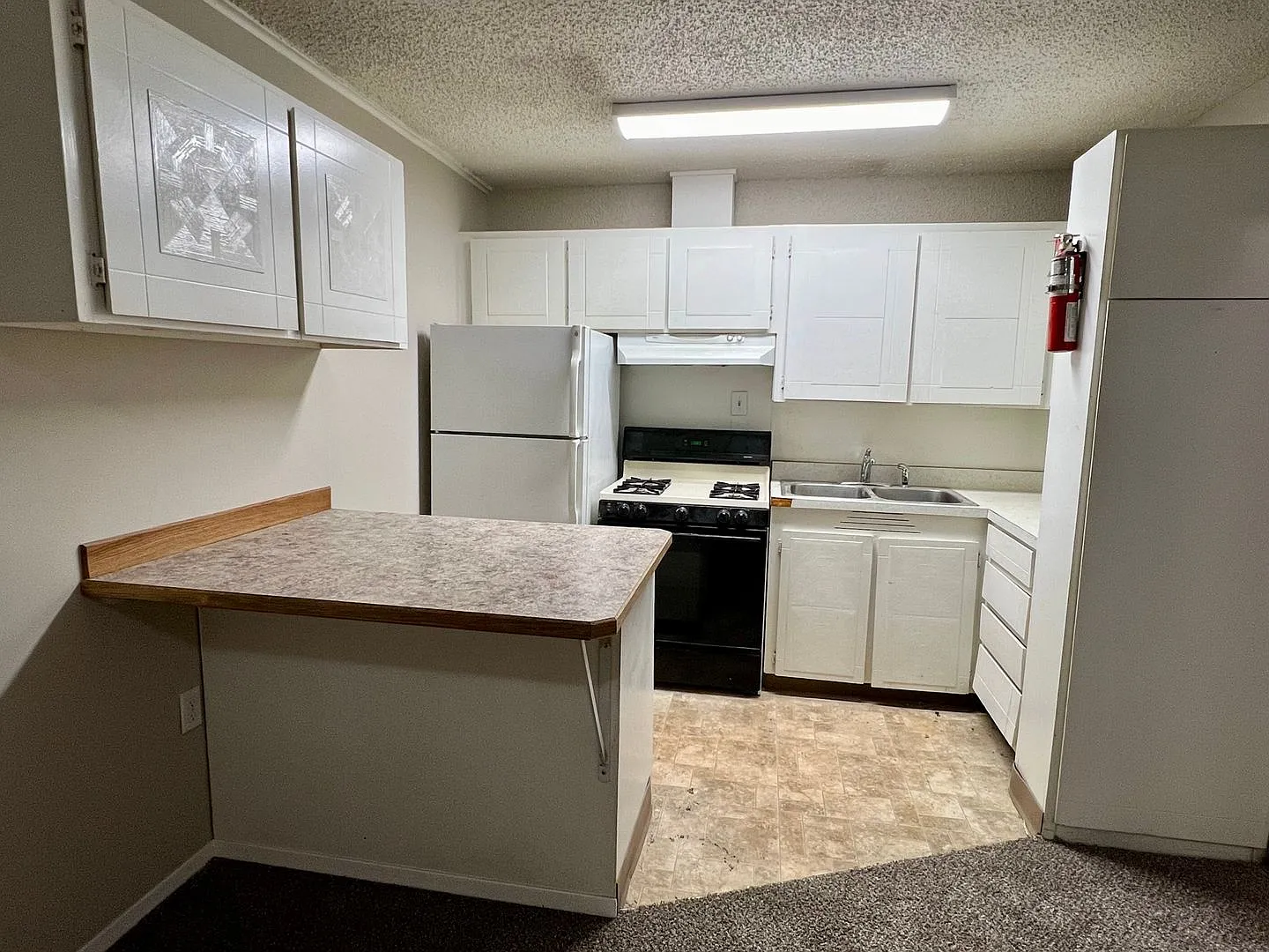 648 E Dowling - JM70/30 — Photo 1
