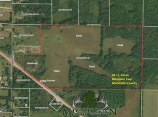 W Howard City Edmore Rd, Six lakes, MI 48886