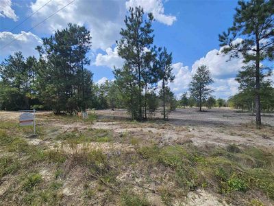 7 Marcantel Rd, Dequincy, LA, 70633