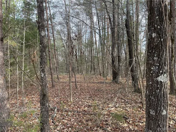 0 Ashburn Rd, Cumberland, VA 23040