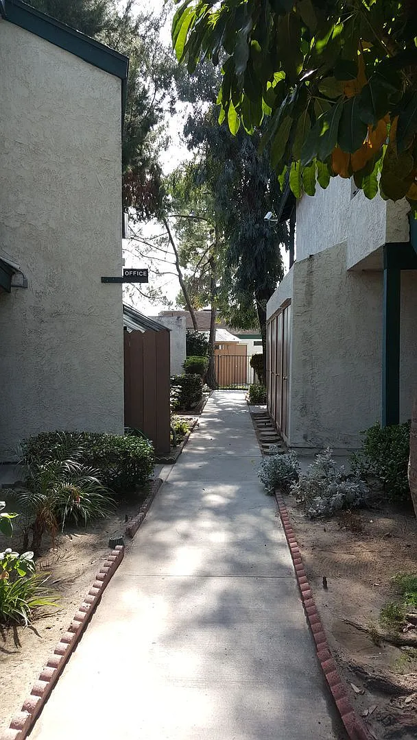 1919Syca — Photo 3