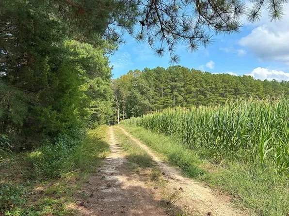 Davis Lowground Rd, Keysville, VA 23947