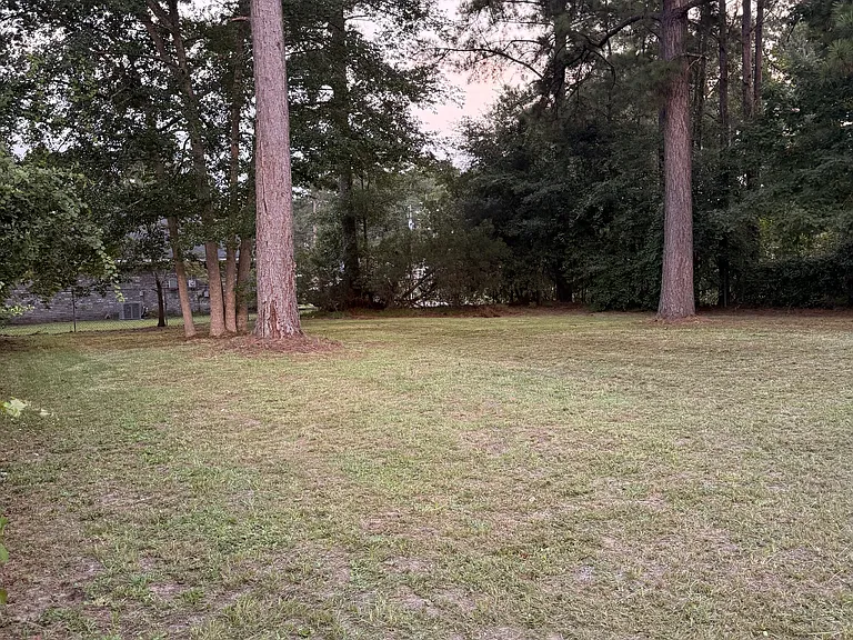 100 Angie St — Photo 5