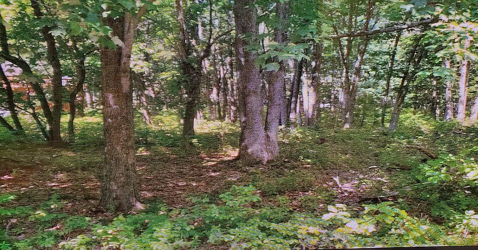 1st image of 214 Wild Creek Dr