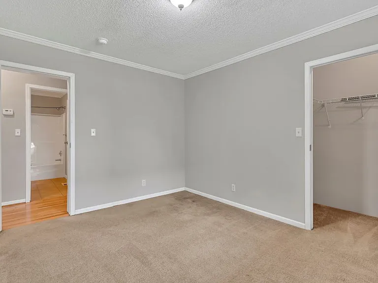 1386 Buck Mountain Rd — Photo 48