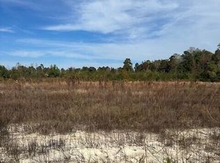 1335 Mitchellfield Rd, Clarkton, NC 28433