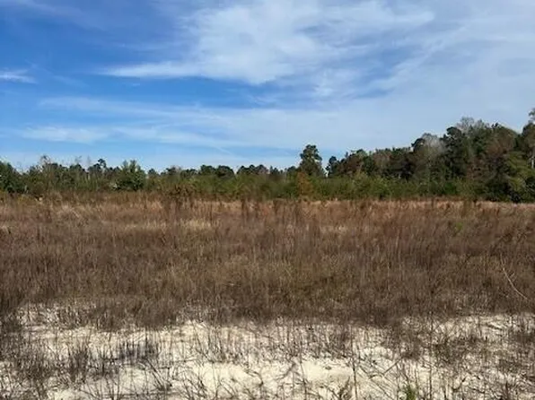 1335 Mitchellfield Road, Clarkton, NC 28433