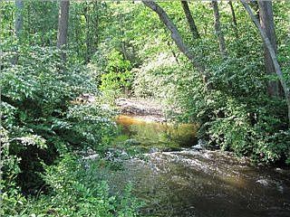 4th image of 5880 Plantation Woods Dr #1