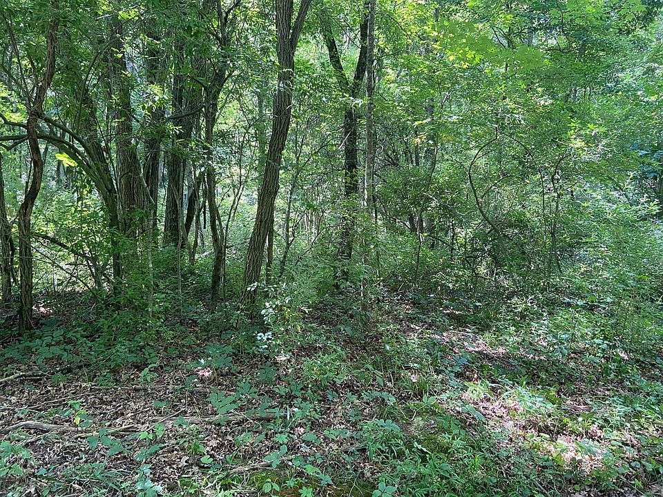 2nd image of Otter Creek Rd