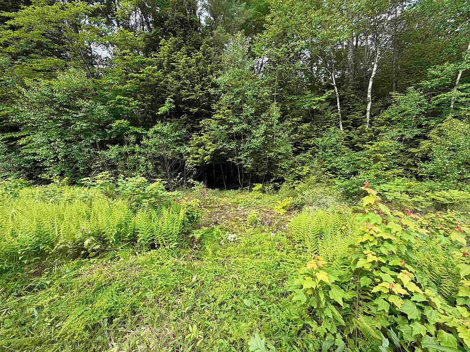 1st image of Mountain View Drive