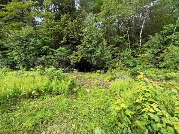 Mountain View Drive, Thornton, NH 03223