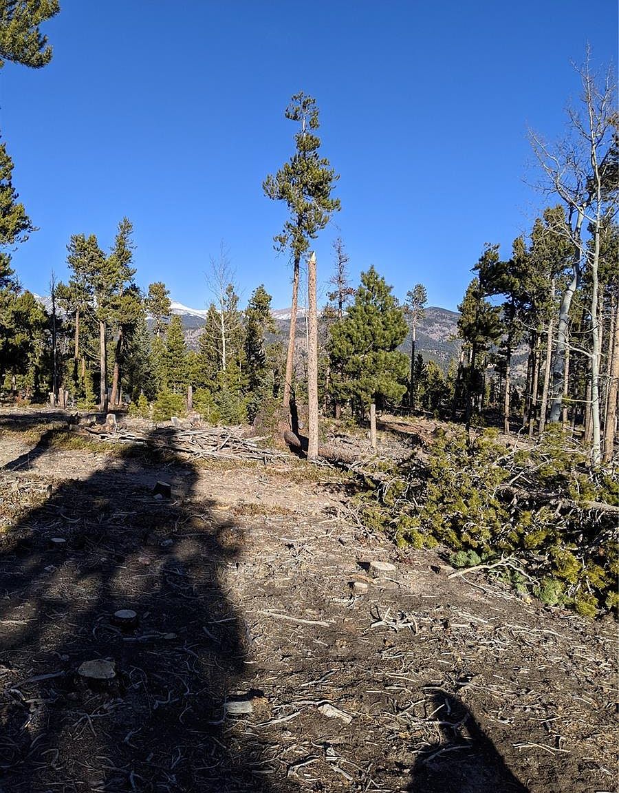 Center Line Dr, Idaho Springs, CO 80452 MLS 4432429 Zillow