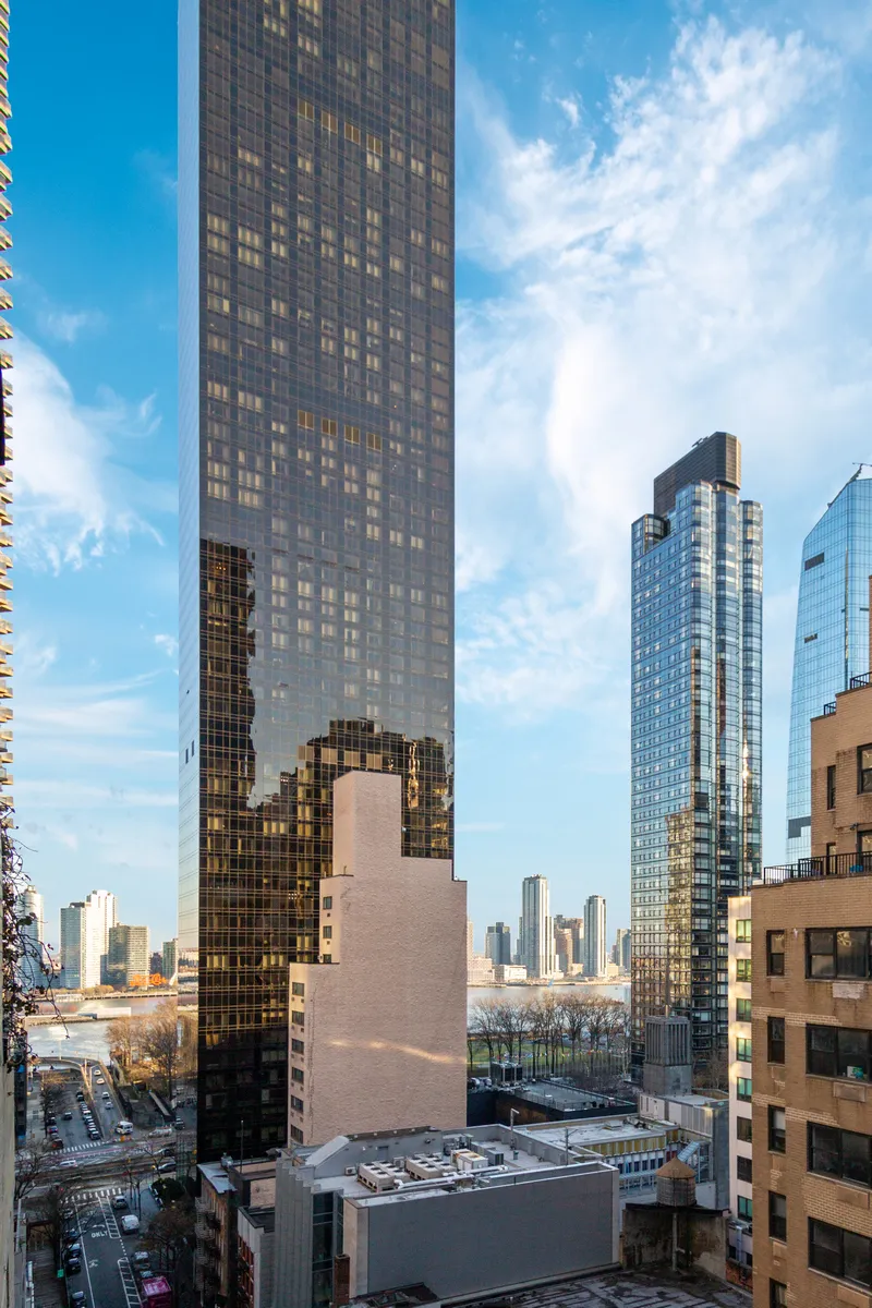 301 East 48th Street #17D in Turtle Bay, Manhattan | StreetEasy