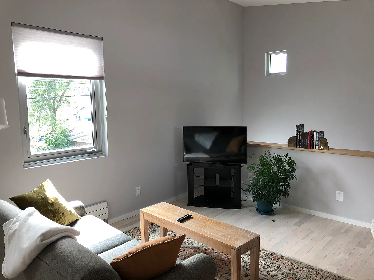 1 bed, 500 sqft, $1,750 — Photo 1