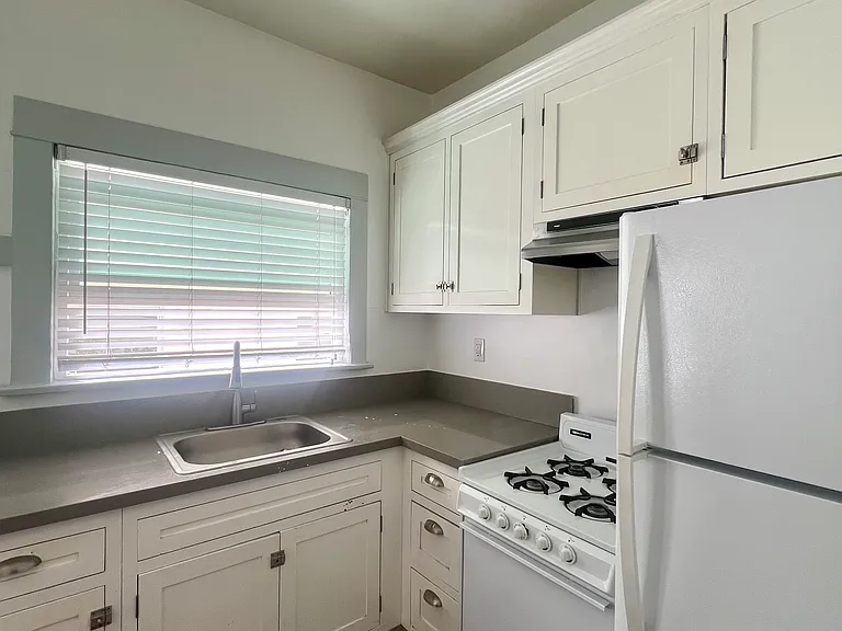 445 E 3rd St #306 — Photo 6