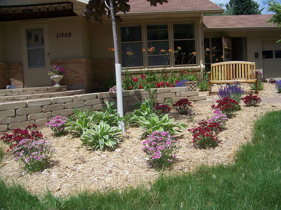 Frontyard (2)