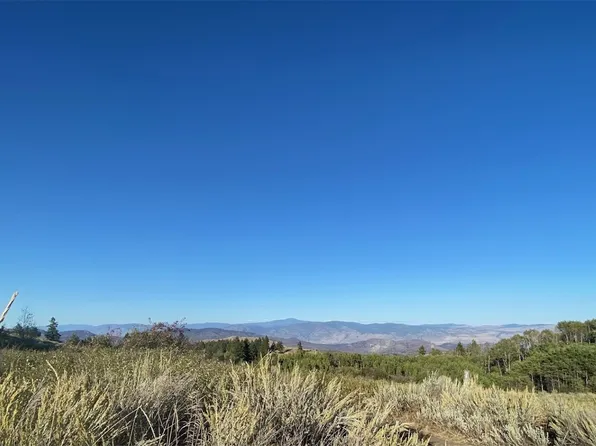 980 E Ellemeham Mountain Road, Oroville, WA 98844