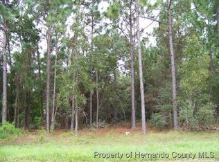 11378 Newington Ave, Spring Hill, FL 34609