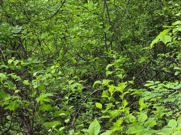 LOT 415 Briar Ln, Front Royal, VA 22630