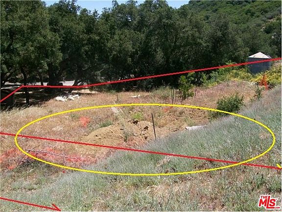 4th image of 31436 Birdella Rd