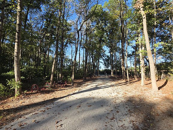 This photo is showing the long, private driveway, looking out at Singing Woods Road.