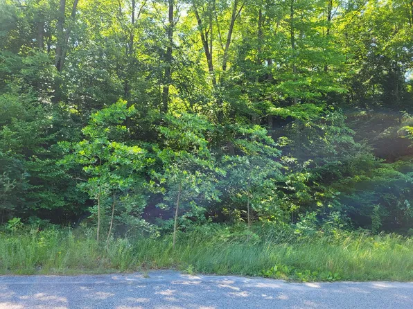 4445 Duck Creek Ln, Whitehall, MI 49461