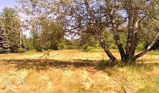 2nd image of 1866 Range Rd
