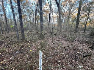 0 An County Road 354, Palestine, TX 75801