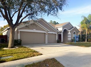 10211 Meadow Crossing Dr, Tampa, FL 33647