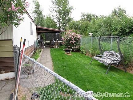 back yard