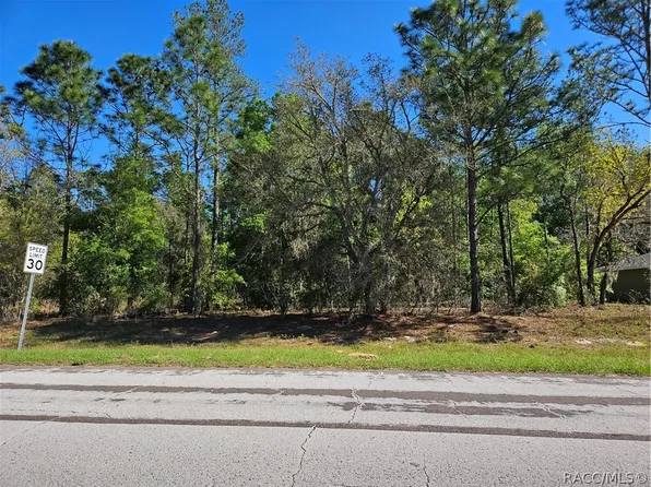 9427 N Athenia Dr, Citrus Springs, FL 34434