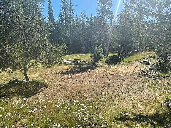 Fire and horse shoe pits