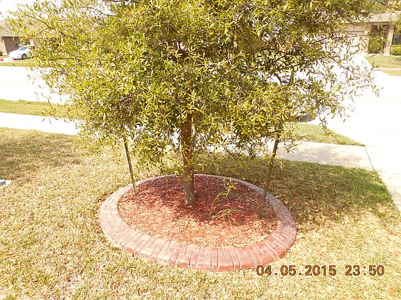 5th image of 5310 Bridgewood Dr