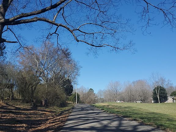 4th image of 401 County Road 560