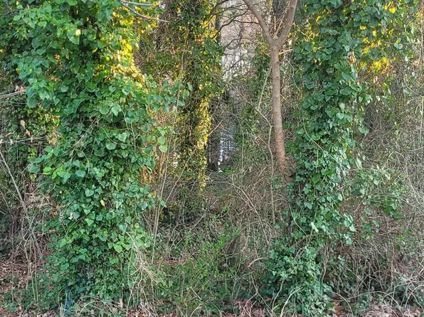 13000 Mills Creek Dr, Lusby, MD 20657