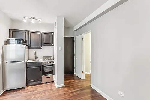1140-45 N Lasalle St #426 Photo 1
