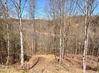113 Laurel Way, La Follette, TN 37766