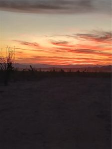 1813 W Yellow Bird Dr, Yucca, AZ, 86438